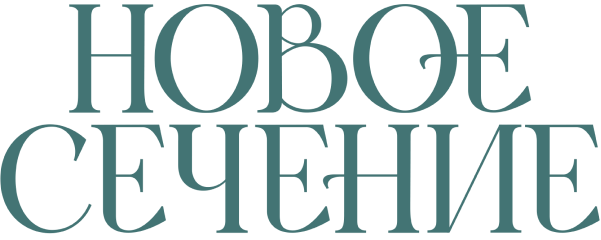 Логотип Новое Сечение