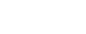 Новое сечение